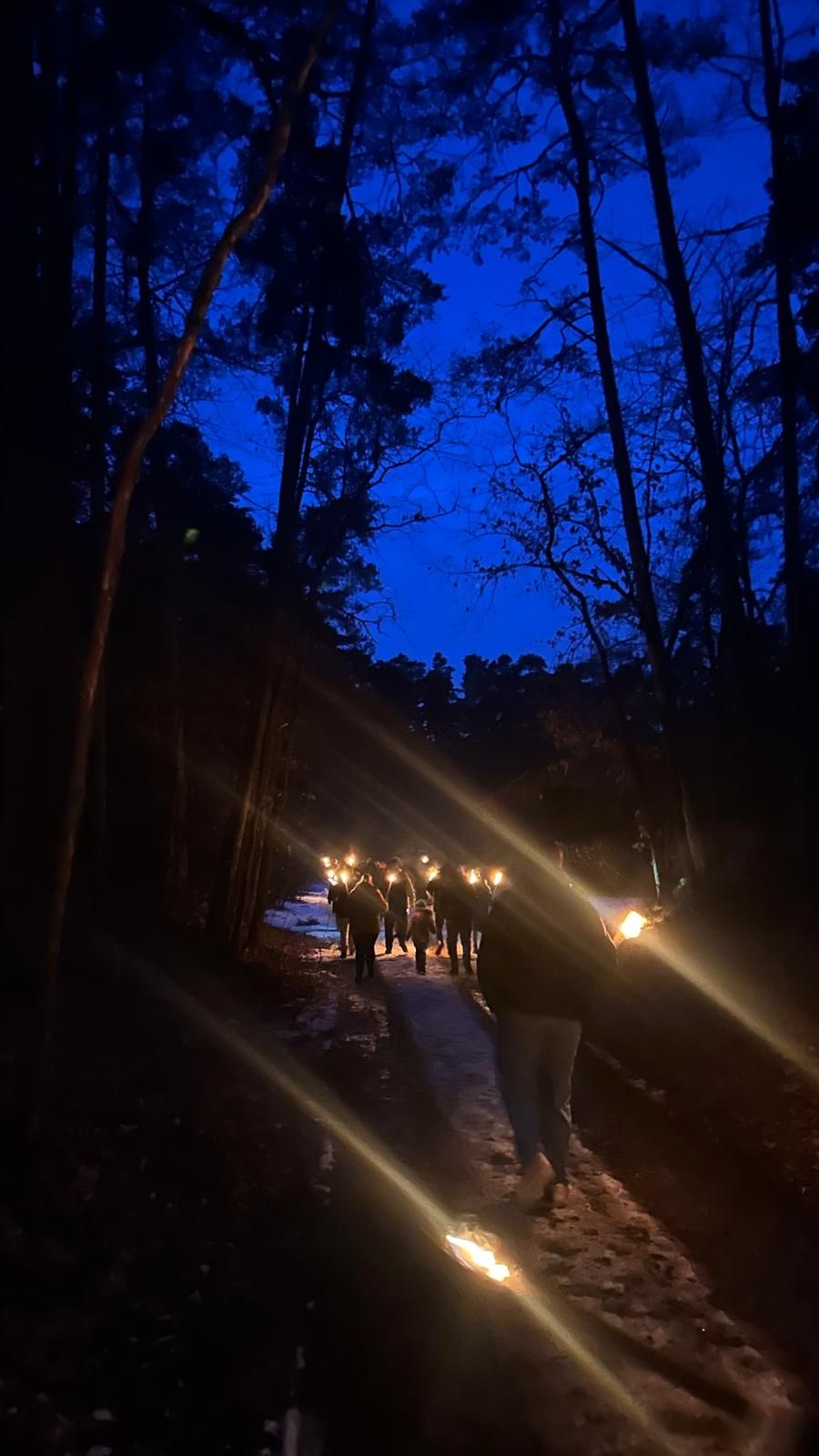 20260206 nachtwanderung 7