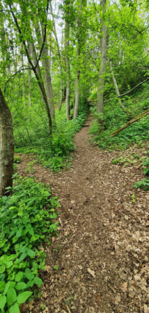 bauernwehrsteig 20210911 1 bauernwehrsteig 20210911 1