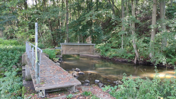 bauernwehrsteig 20210911 12 bauernwehrsteig 20210911 12