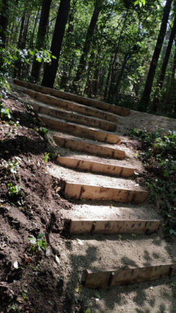 bauernwehrsteig 20210911 14 bauernwehrsteig 20210911 14